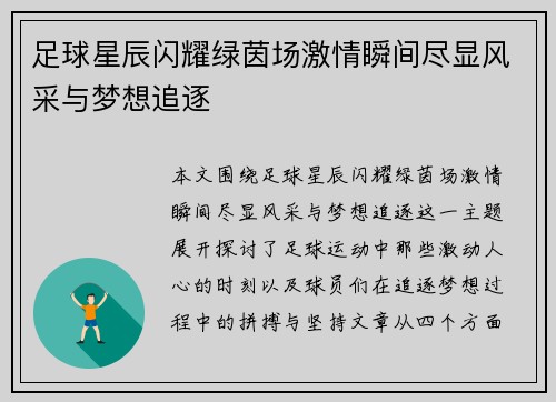 足球星辰闪耀绿茵场激情瞬间尽显风采与梦想追逐